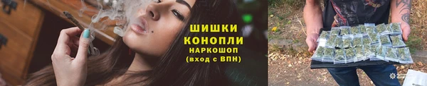 крисы Богородск