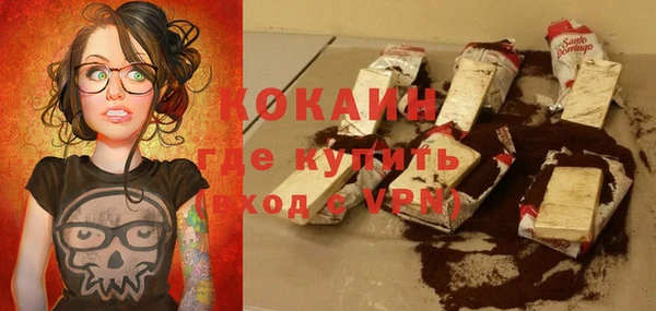 дмт Богданович