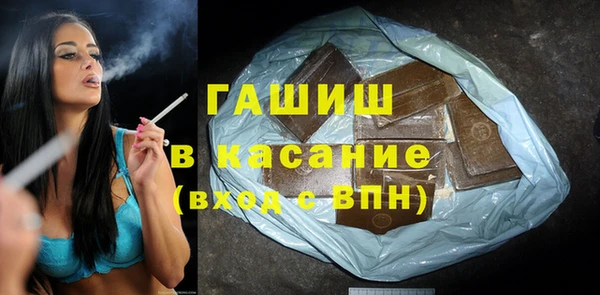 дмт Богданович