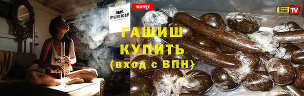 дмт Богданович