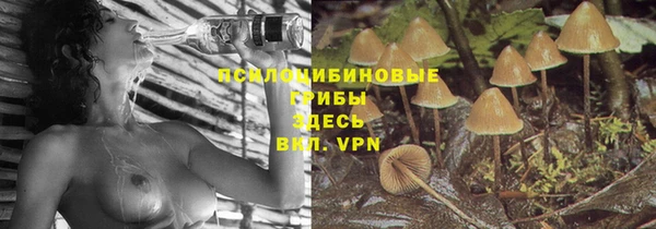 экстази Богородицк